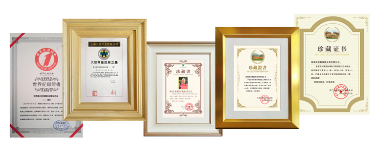 公司简介(图1) zizhi.jpg