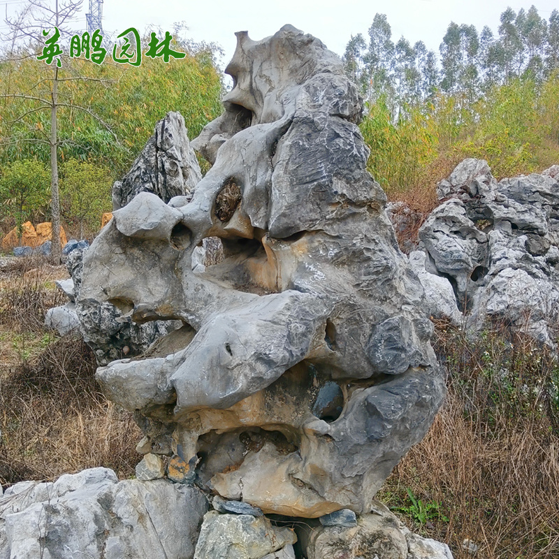 大型太湖石定制 市政工程假山石 英鹏园林窟窿造型石
