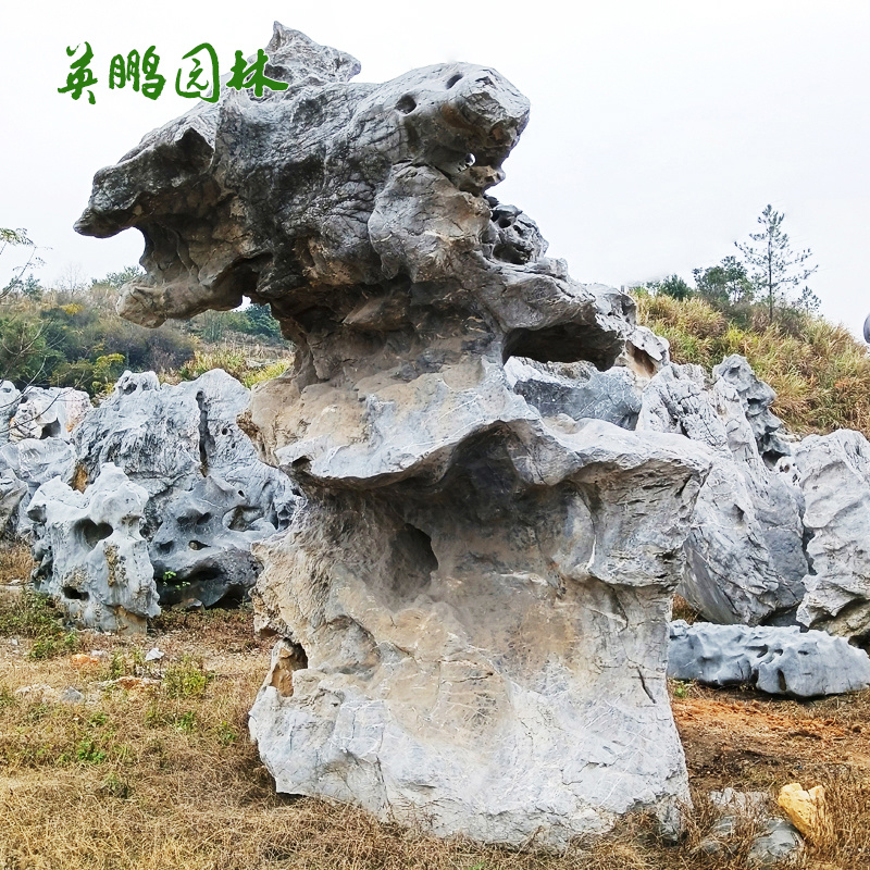 英鹏大型景观石 太湖石刻字风景石 园林用假山石