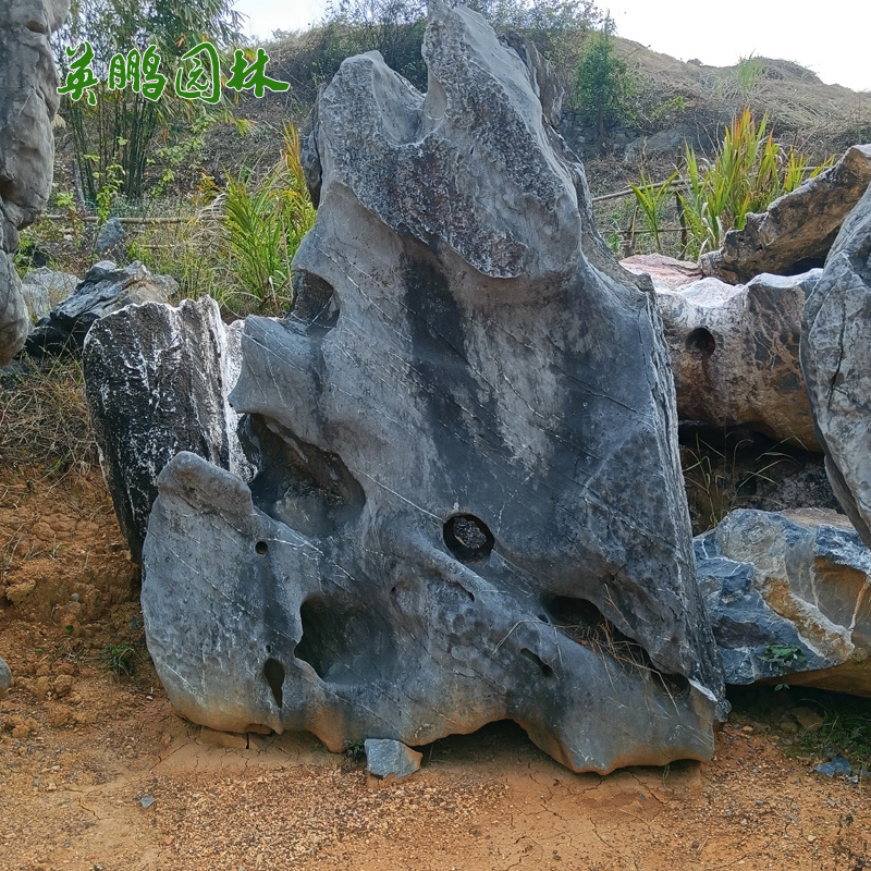  自然太湖石 庭院园林鱼池假山石窟窿石 大型中式造型奇石
