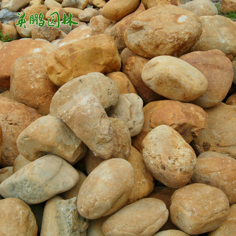 小型黄蜡石 吨位腊石批量供应 校园励志刻字石 按需定制