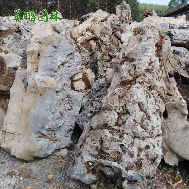 厂家批发太 湖石景观石 假山石吨位英德石 驳岸太湖石