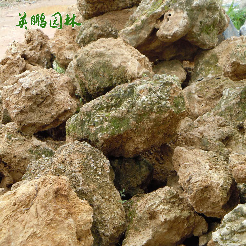  净水吸水石 四季花卉栽培基质用软质多孔石 水族造景假山石
